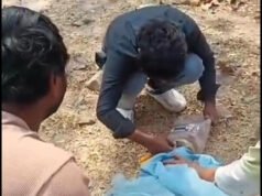 कोरबा: कुत्ते के मुंह में फंसा डिब्बा, एक सप्ताह से भूख-प्यास था परेशान, किया गया रेस्क्यू