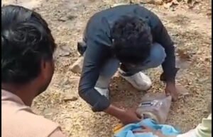 कोरबा: कुत्ते के मुंह में फंसा डिब्बा, एक सप्ताह से भूख-प्यास था परेशान, किया गया रेस्क्यू