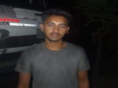 तेज रफ्तार हाइवा ने 12 गोवंशों को कुचला, हुई मौत, चालक के खिलाफ मामला दर्ज