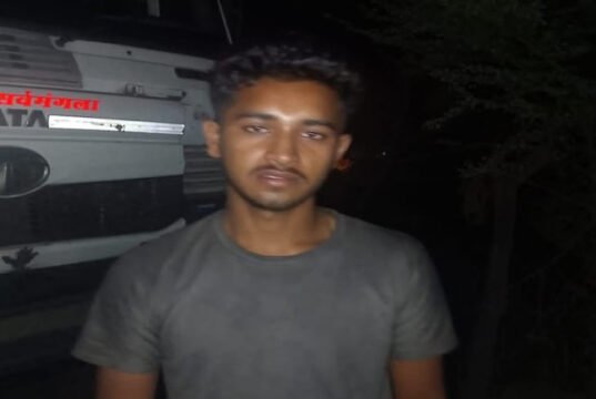 तेज रफ्तार हाइवा ने 12 गोवंशों को कुचला, हुई मौत, चालक के खिलाफ मामला दर्ज