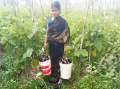 बिहान से बदली ममता की जिंदगी, सब्जी की खेती से ममता बनी आत्मनिर्भर