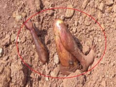 ‘जमीन के नीचे छुपा था राज’: अभनपुर में युवक की हत्या के बाद शव दफन, ऐसे हुआ सनसनीखेज खुलासा