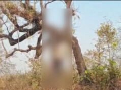 एक ही पेड़ पर दो युवकों ने लगाई फांसी, शव लटकते देख उड़े होश, प्रमोद और अमित के रूप में हुई पहचान