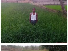 डबरी, मछली पालन और बहुफसली खेती से बदली तकदीर—सगनू बने गांव के प्रेरणास्रोत