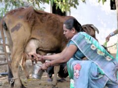 आत्मनिर्भरता की मिसाल: औराटोला बना बालोद का पहला लखपति दीदी ग्राम