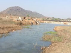 मनरेगा से पनारी नाले का जीर्णोद्धार: 1200 ग्रामीणों को पेयजल व सिंचाई का लाभ