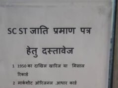 जाति प्रमाण पत्र पर अटका भविष्य: भिलाई निगम की सुस्ती से 89 युवाओं के सपनों पर ग्रहण