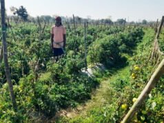 सफलता की कहानी, राष्ट्रीय कृषि विकास योजना से फायदा