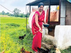 एकीकृत कृषि और आजीविका के लिए “दीदी के बखरी “से आ रही नई क्रांति