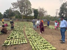 हरा सोना संग्राहकों की आय बढ़ाने की दिशा में बड़ा कदम