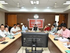 बारनवापारा के देवपुर जंगल में दिखी दुर्लभ विशाल भारतीय गिलहरी