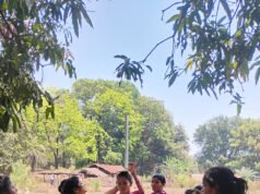मुख्यमंत्री स्वस्थ बस्तर अभियान