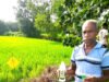 नैनो उर्वरक के उपयोग से धान उत्पादन में हुई वृद्धि, लागत में आई कमी – किसान निरंजन