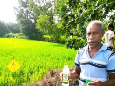 नैनो उर्वरक के उपयोग से धान उत्पादन में हुई वृद्धि, लागत में आई कमी – किसान निरंजन