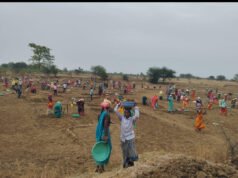 महात्मा गांधी नरेगा से जल संरक्षण का महाअभियान, रोजगार और आजीविका को मिली नई ताकत