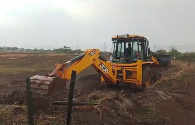 z11