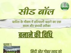 सीड बॉल अभियान- हरियाली बढ़ाने का सरल और प्रभावी माध्यम