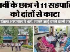 धमतरी के स्कूल में दहशत: एक छात्र ने 11 बच्चों को दांतों से काटा, 24 घंटे निगरानी में बच्चे; जानें पूरा मामला