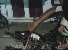 भिलाई सुपेला थाना के सामने विशालकाय सांप