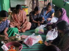 रक्षाबंधन पर बिखरेगा हरियाली का संदेश, रायगढ़ में स्व-सहायता समूह की दीदियों ने तैयार कीं अनोखी बीज राखियां