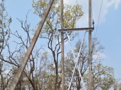 दशकों का अंधेरा छँटा: ‘नियद नेल्लानार योजना’ से जगमगाए नारायणपुर के वनांचल गांव