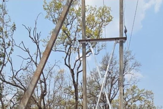 दशकों का अंधेरा छँटा: ‘नियद नेल्लानार योजना’ से जगमगाए नारायणपुर के वनांचल गांव