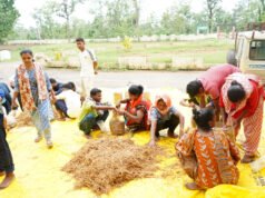 सुकमा में मशरूम उत्पादन का प्रशिक्षण बना आत्मनिर्भरता की नई राह