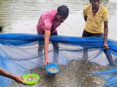 बस्तर की मनकी बघेल ने स्पान संवर्धन योजना से 2 माह में कमाए 15 हजार रुपये
