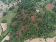 मोर गांव, मोर पानी अभियान से घोघर बना जल संरक्षण का प्रेरक मॉडल