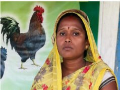 मेहनत, हुनर और सरकारी सहयोग से बदली कमलेश की जिंदगी, बनीं ‘लखपति दीदी’