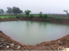 मोर गांव-मोर पानी अभियान से ग्रामीण आजीविका को मिली नई उड़ान