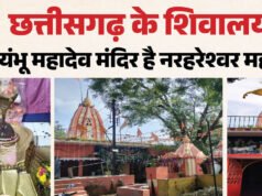 छत्तीसगढ़ के शिवालय;यहां दशर्न मात्र से पूरी होती है मनोकामना, स्वयंभू हैं नरहरेश्वर महादेव