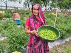 ‘तीखी मिर्च’ से घुली जीवन में मिठास