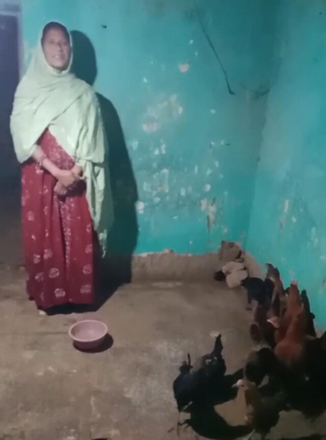 23