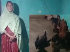 बसंती नाग बनीं आत्मनिर्भरता की मिसाल: ‘सेवा संकल्प अभियान’ के तहत चूजा पालन से संवर रही आजीविका