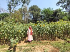 सेवा की कहानी- बिहान से प्रमिला ने लिखी आत्मनिर्भरता की कहानी, खेती के साथ सिलाई और मुर्गी पालन बना आय का मजबूत आधार