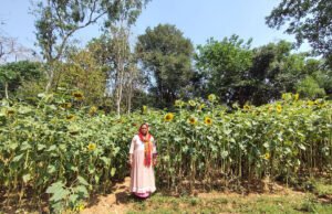 सेवा की कहानी- बिहान से प्रमिला ने लिखी आत्मनिर्भरता की कहानी, खेती के साथ सिलाई और मुर्गी पालन बना आय का मजबूत आधार