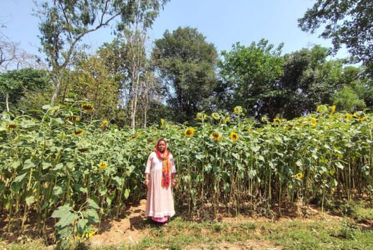 सेवा की कहानी- बिहान से प्रमिला ने लिखी आत्मनिर्भरता की कहानी, खेती के साथ सिलाई और मुर्गी पालन बना आय का मजबूत आधार