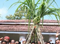 गन्ने का मूल्य 425 रुपये प्रति क्विंटल होने पर किसानों में खुशी, उप मुख्यमंत्री श्री विजय शर्मा को गन्ना भेंटकर किया अभिनंदन