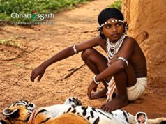 छत्तीसगढ़ में ग्रामीण पर्यटन को नई पहचान देगा ‘चेन्दरू’ पुरस्कार, उत्कृष्ट योगदान पर मिलेगा एक लाख रुपये का सम्मान